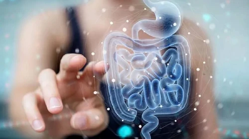 Bağırsak bakterileri kişiliğimizi etkileyebilir