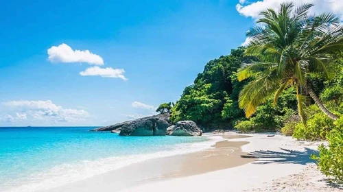 İklim değişikliği plajları tehdit ediyor