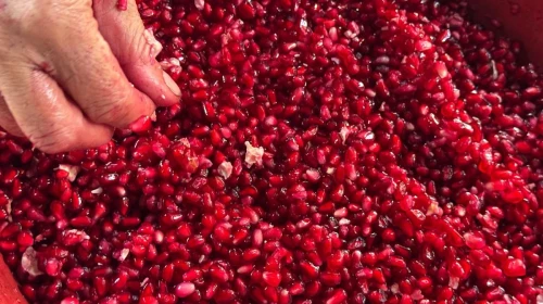 Karaciğerin dostu: Kış meyveleri yağlanmayı durduruyor ve sağlıkla parlıyor!