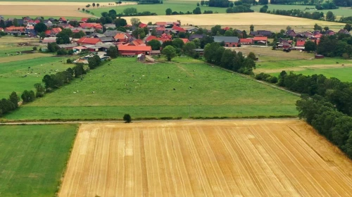 Tarla Fiyatlarındaki Artışın En Yoğun Olduğu İller Belli Oldu