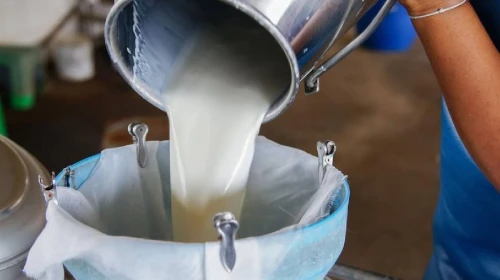 TÜSEDAD’dan çiğ süte zam çağrısı