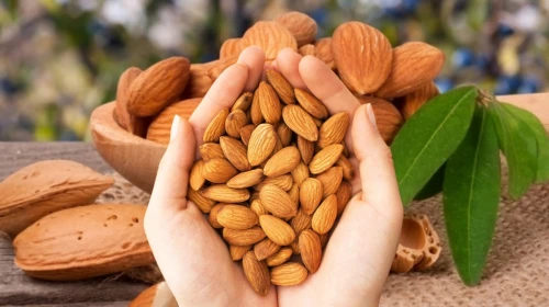 Uzmanlar Badem Tüketimini Öneriyor: Kalp, Cilt ve Beyin Sağlığını Olumlu Yönde Etkiliyor!