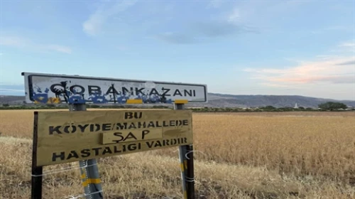 Şırnak'ta şap hastalığı görülen köye hayvan giriş çıkışları yasaklandı