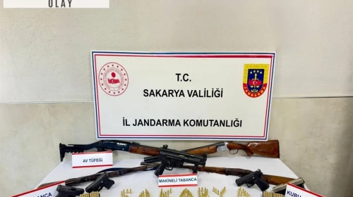 Sakarya'da kaçak silah operasyonunda 1 tutuklama