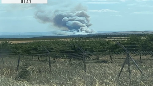 Çanakkale’de tarım arazisinde yangın