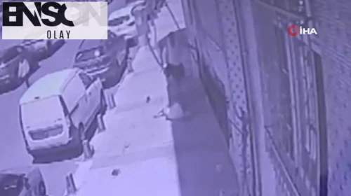 Engelli çocuğu darbeden cani tutuklandı