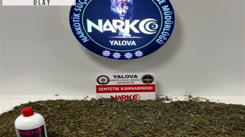 Yalova'da uyuşturucu operasyonunda 9 tutuklama