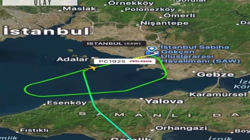 İstanbul-Sabiha Gökçen Havalimanı'nda pistte tavşan alarmı