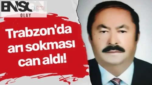 Trabzon'da arı sokması can aldı!
