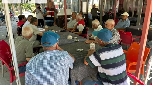 Edirne'de üreticiler, tarlalarda kendiliğinden çıkan kenevir hakkında uyarıldı