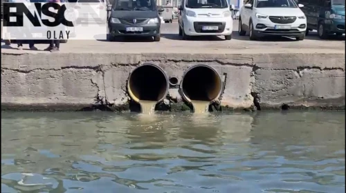 Balıkesir'de çevre katliamı cezasız kalmadı