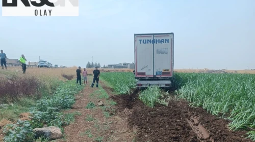 Mısır tarlasına giren TIR’ın şoförü yaralandı