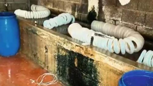Ruhsatsız işletmede kilolarca paça ve bağırsak ele geçirildi