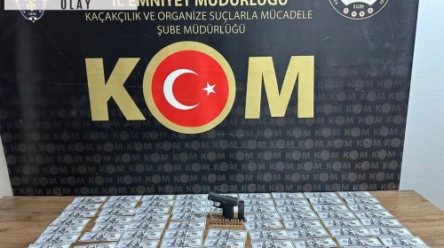 Sakarya'da sahte dolar ve silah operasyonu; 2 gözaltı