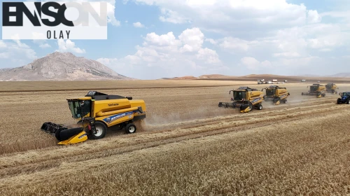 Biçerdöverler aynı anda tarlalara girdi
