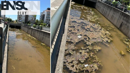 CHP'li belediyede yeni çevre skandalı: Kötü koku ve kirlilik bıktırdı