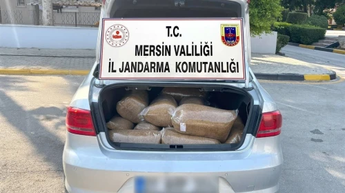 Mersin’de kaçak tütün operasyonu