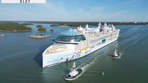 Cruise gemisinde dehşet: İş arkadaşını bıçakladı, dev geminin tepesinden aşağı atladı