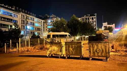 Tunceli'de sokak kedisini öldüren şüpheli tutuklandı