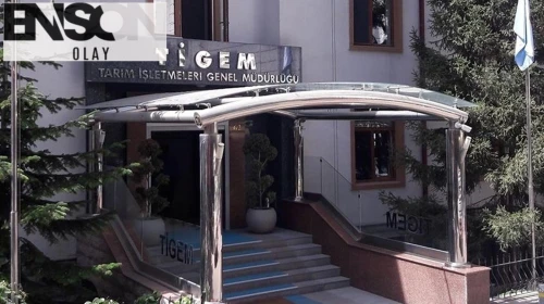 TİGEM Dalaman'daki iki tarım dışı araziyi kiraya verecek