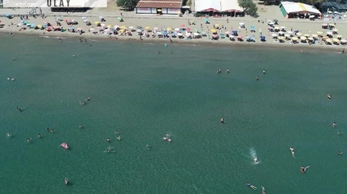 Sıcaktan bunalan maviye koştu