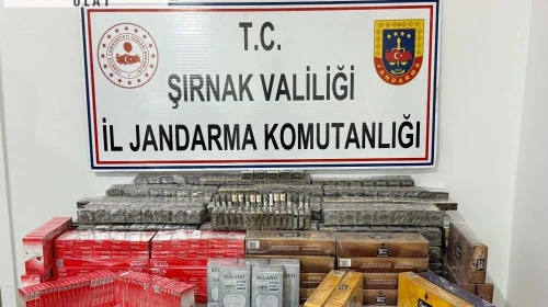 Şırnak’ta son 1 haftadaki kaçakçılık operasyonlarında 6 tutuklama