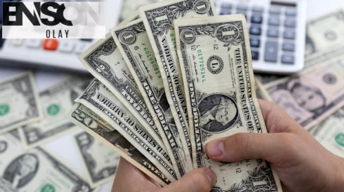 31 Temmuz dolar kaç lira? euro ne kadar?
