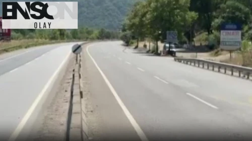 Sakarya'da orman yangını: D-650 yolu trafiğe kapandı, evler tahliye edildi