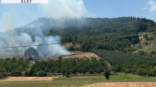 Bingöl'de ormanlık alanlarda çıkan yangın söndürüldü