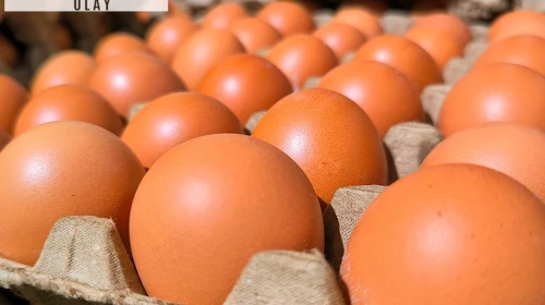 Ünlü market, yumurta satın alan herkese acil bir mesaj yolladı