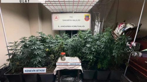 Sakarya'da uyuşturucuya 1 tutuklama