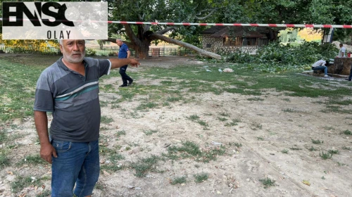 Piknikçilerin üzerine ağaç dalı düştü: 11 yaralı