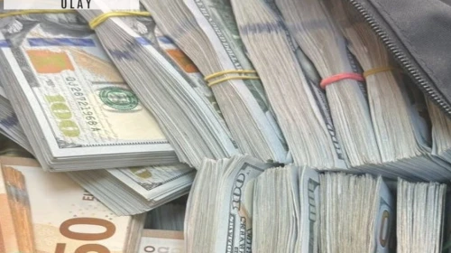 Türkiye’ye gelen araçtan servet çıktı