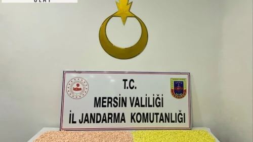 Mersin’de 18 bin 400 uyuşturucu hap ele geçirildi
