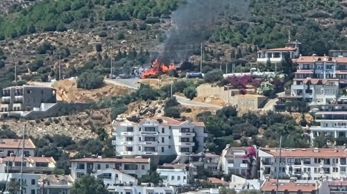 Muğla'da maki yangınında 1,5 dönüm alan zarar gördü