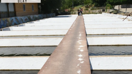 Malatya'da alabalık tesisi sayısı artıyor
