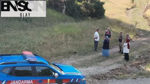 Erzurum'da ormanlık alanda mangal yakan 2 kişiye ceza