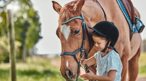 İnsan Duygularını Algılayan Hayvan Belli Oldu: Kedi ve Köpekten Farklı Bir Tür!