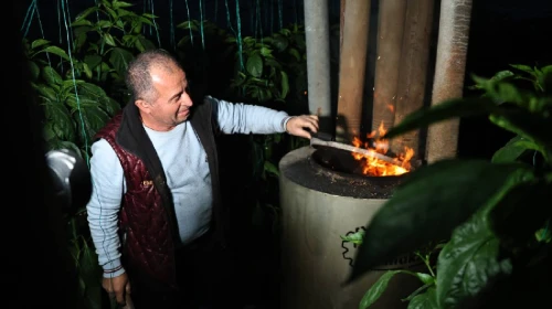 Seraların don nöbeti endişesi sona eriyor: Büyükşehir'in dijital sensörleri sayesinde seralar artık cep telefonları ile kontrol ediliyor