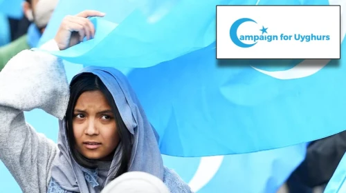 Sahte web sitelerinin artmasıyla dezenformasyon tehlikesi yükseliyor!