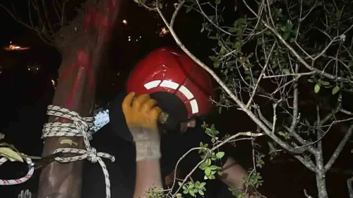 Trabzon'da sarp bir yamaçta mahsur kalan kişi, kahraman ekipler tarafından kurtarıldı!