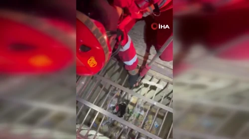Hatay'da mazgala düşen yavru kedi itfaiye ekiplerince kurtarıldı