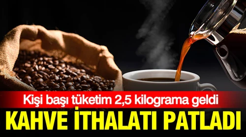 Kahve ithalatı hızla artıyor: Türkiye'de kişi başı yıllık tüketim 2,5 kilograma çıktı