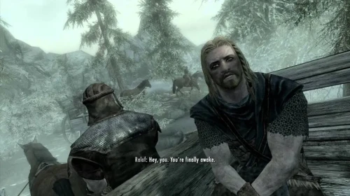 Skyrim oyunundan ilham alan kullanıcı adı sebebiyle masum bir oyuncu cezaevine girdi