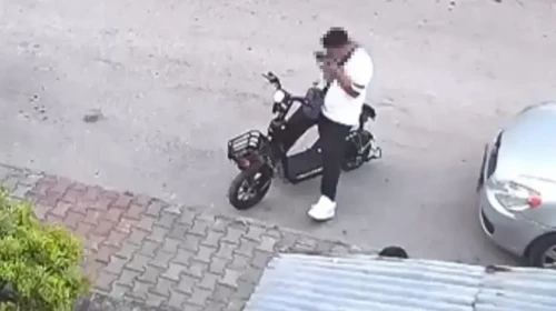 Bolu'da yavru kediyi öptükten sonra boğarak öldüren otizmli serbest bırakıldı