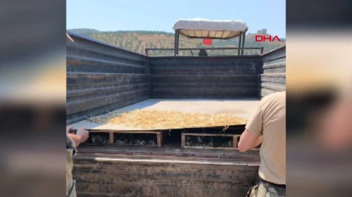 Hatay'da traktör kasasından binlerce kuş çıktı: Kesilen cezanın miktarı dudak uçuklattı