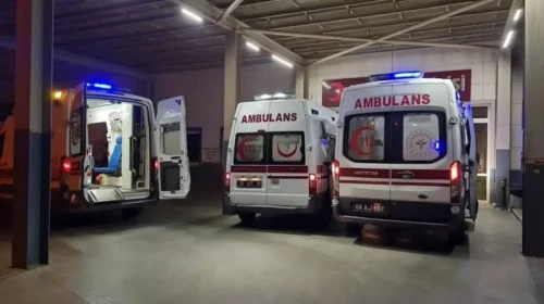 Siirt'te akılalmaz olay : Kümese tavuklarını kontrol etmeye girdi, yılan tarafından ısırıldı