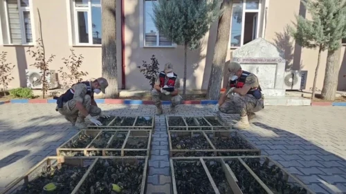Hatay'da traktörün gizli bölmesinden 2 bin 114 saka kuşu çıktı: Cezası dudak uçuklattı