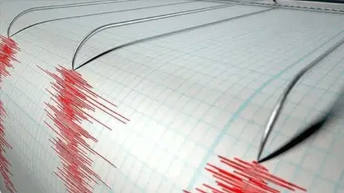 Yeni Zelanda'nın açıklarında meydana gelen 6.3 büyüklüğündeki deprem paniğe neden oldu