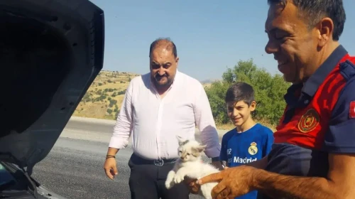 Adıyaman Besni'de kedi otomobilde sıkıştı